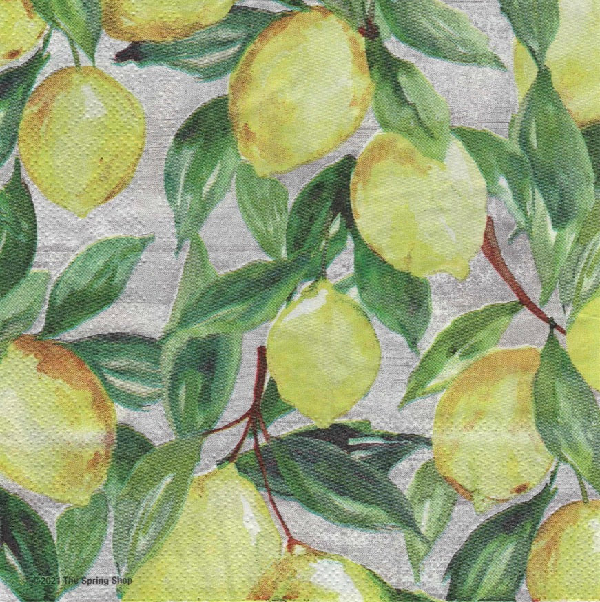 Decoupage Napkins – Curated Collection of 53 Designs